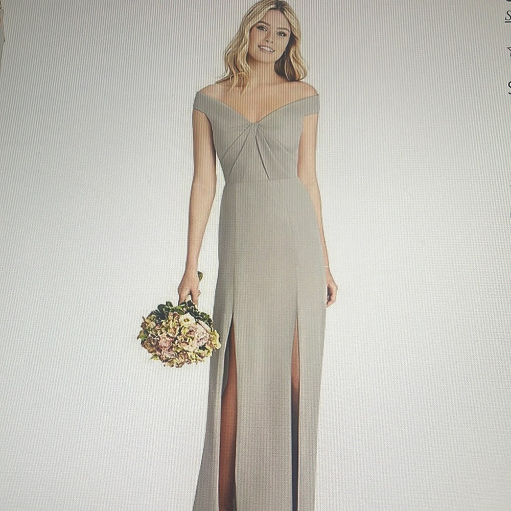 NWT Social full length sheer crepe dress.  Size 4